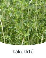kakukkfű